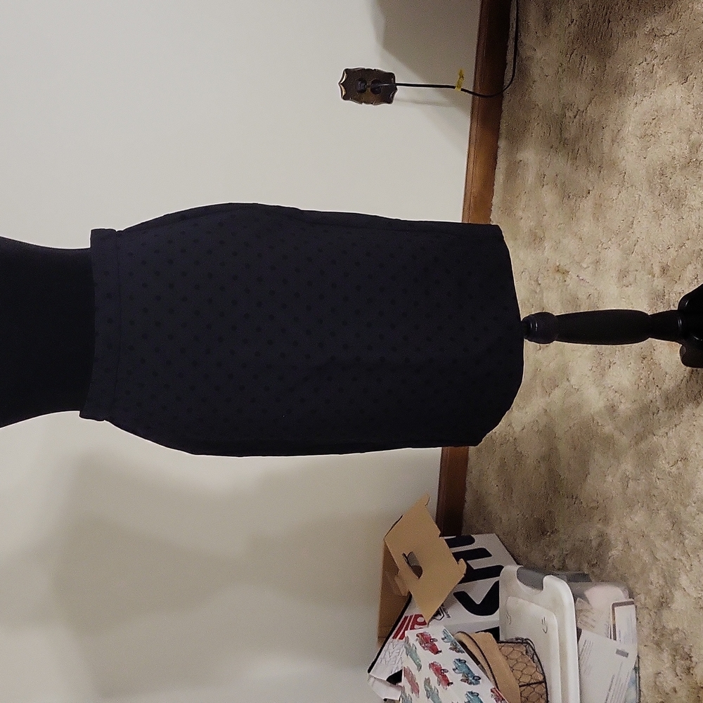 Ann Taylor pencil skirt